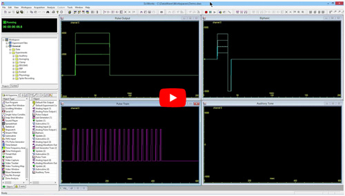 Video: Stimulus Generation and Data Acquisition in SciWorks